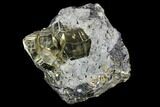 Pyrite Crystals on Galena - Peru #120119-1